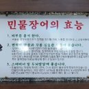 일출봉민물장어