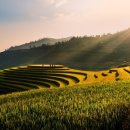 (주)바이오포스 이미지