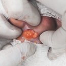 다움성형외과의원 이미지