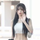 몬스터클리닉