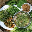 백아산 토종 Daum카페