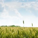 자연2 태양광발전소 이미지