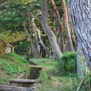 보경사 입구 이미지