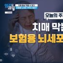 치매 막는 법! 보험용 뇌세포를 키워라 이미지