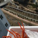 바른수산 네이버블로그