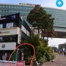 홍대 율촌 이미지