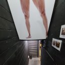 저스트핏대치점(483) | 대치동헬스장 저스트핏 대치점에서 pt받고있어요