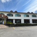 돼지한마리 이미지