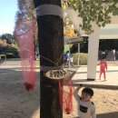 광양제철유치원 이미지