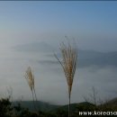 바람의노래 이미지