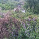 하동부동산공인중개사사무소 이미지