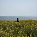 누보건축 | 제주 성산 여행코스 포토 스팟 [ 유민 아르누보 뮤지엄 ] 다녀온 후기