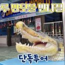 칠리농장 이미지