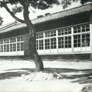 신촌초등학교 이미지