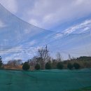 보성골프연습장 이미지