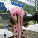 평화낚시 - 홍천군 설악로 1010 | 평화낚시