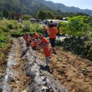 천호농장 이미지