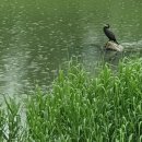 방수2길 이미지