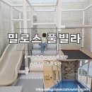 밀로스풀빌라 K102호 이미지