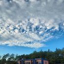 원가3교 이미지