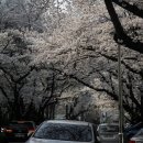 동광로19길 19 이미지