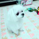 주공아파트 5단지 이미지