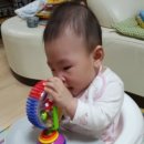 쮸쮸뽕