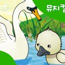백조 이미지