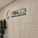 호텔 오늘 | 대전 가성비 호텔 후기 성심당, 한화볼파크 근처 스테이 오늘