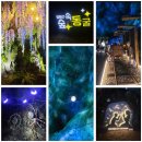 해오름펜션 | 충북 옥천 펜션 숙소 추천 해오름펜션