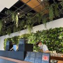 대도무역 | 현대백화점 무역센터점 H카페 11층 말차라떼 후기(feat. 그린_green 등급 한정)