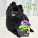 동원 뉴트리플랜 소프트뮨 트리플 면역 설계 영양밸런스 &#34;화식 사료&#34; 급여 후기