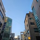 서울 논현동 레터링케이크 : 끌레르봉봉 핑구케이크 주문 후기(aka_퇴사케이크)