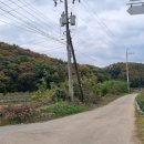 수성최씨 시조묘 이미지