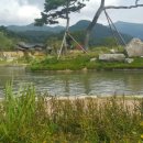 헬로서치주 이미지