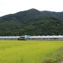 구림산책길 이미지