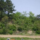 워낭소리 이미지