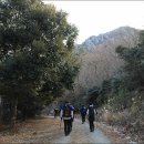 달마고도 이미지