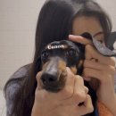 행복을파는장사꾼 | 몽이의 성형 일기] 구순열 코·인중·입술 수술 2달 후기│만족도 · 수술 경과 · 생리 주기