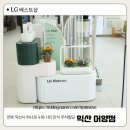 (유)광산서비스센터(LG써비스) | LG베스트샵 익산 어양점 방문기! 최신 Apple 제품부터 구독 서비스까지 꿀정보
