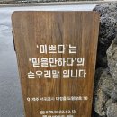 미쁜제과. 일과리 바당정원 이미지