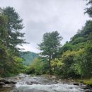 들꽃여울캠핑장 이미지