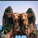 칭고란 커뮤니티가 있습니다. 칭찬받는 고래란 의미인데요. // 🍒인생(人生은)..🍒 이미지