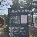 정자세천 이미지