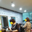 퀸즈헤나 염색 이미지