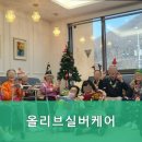올리브 실버케어