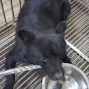 용덕면사무소 이미지