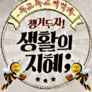 🌷생활의 지혜🌷 이미지