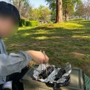 소풍가게(솜사탕) | 경기도 가볼만한곳 이번주에 꼭 가야할 피크닉하기 좋은 남양주 물의정원