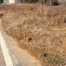 화성개발 부동산중개 이미지